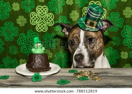 Saint Patrick's Day Dog