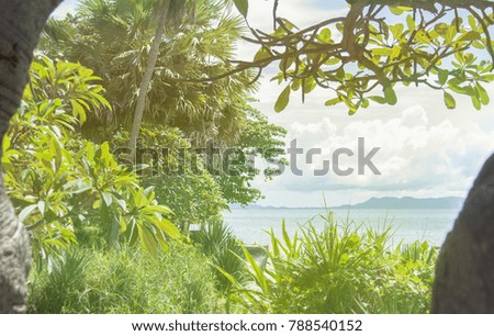 Photo with a tropical landscape. Jungle and palm trees. Ocean, sand. The concept of tourist recreation and travel. Lens flare. Toning.