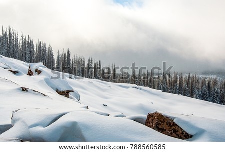 white landscape covered in Snow down a gentle slope of a Mountain Side high in the Colorado Rocky Mountains