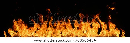 Fire flames on black background. Royalty-Free Stock Photo #788585434