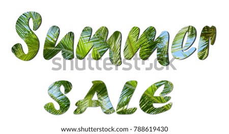 Summer Sale text sign on tropical green leaves and blue sky background.