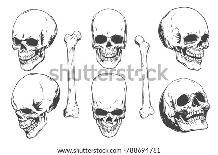 Hand drawn realistic human skulls and bones from different angles. Monochrome vector illustration on white background.