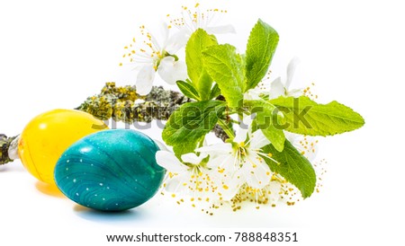 close-up of colorful easter eggs and cherry blossom or sakura flowers on white background with copy space. border template, easter greeting and holiday card.
