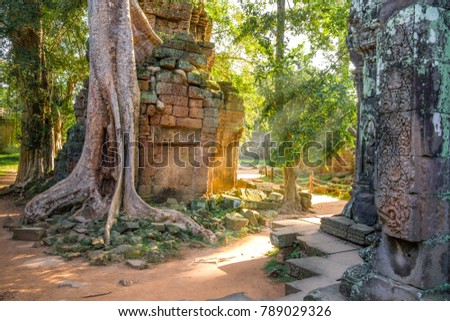 A deserted Ta Prohm temple in the morning light. Part of the extensive ruins around Angkor Wat and Seam Reap in Cambodia. Royalty-Free Stock Photo #789029326