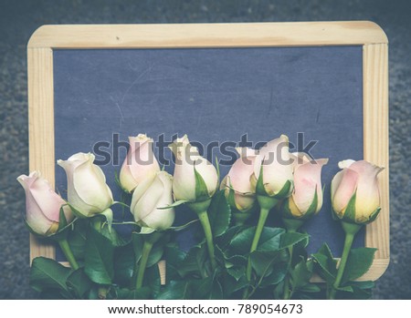pink roses on valentine day greeting board, love concept
