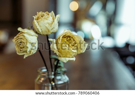 White dried three rose in glass bottles on table with bokeh and shallow depth of focus.