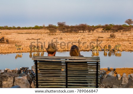 Rear view of young couple observing animals in african savanna, Etosha National Park, Namibia Royalty-Free Stock Photo #789066847