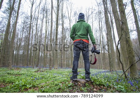 The tourist Take a photo at the Blue Forest Hallerbos in Brussels, Belgium during spring. Blue wild flowers and beech trees. Journey Travel Trek Concept