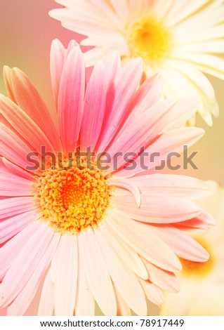 romantic floral picture