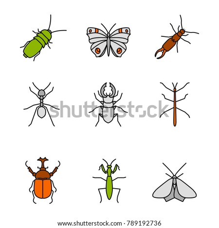 Insects color icons set. Darkling and hercules beetles, butterfly, earwig, stag bug, phasmid, moth, ant, mantis. Isolated raster illustrations