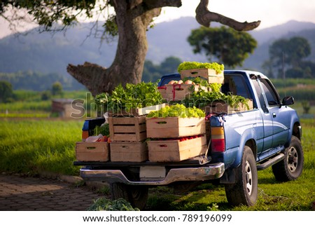 Fresh vegetables on blue pick.up truck. Royalty-Free Stock Photo #789196099
