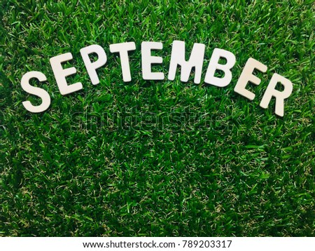 Image September, alphabet wooden September on green grass background with space for your text and design. Concept be used for calendar, month, word and banner. Blur picture and exposure.