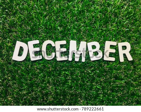 Image December, alphabet wooden December on green grass background with space for your text and design. Concept be used for calendar, month, word and banner. Blur picture and exposure. Vintage style.