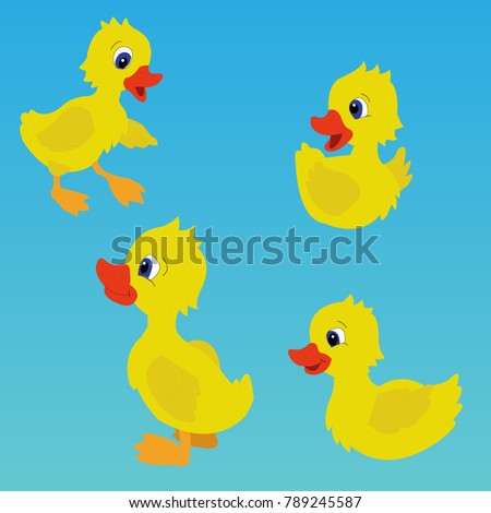 Four different ducks