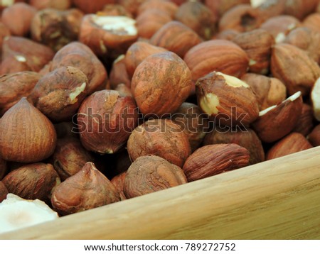 Purified large fresh Hazelnut