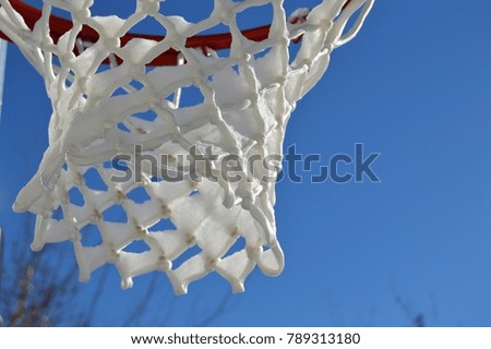 snow covered basketball net with tree background