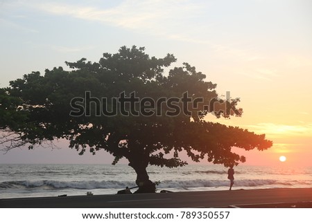 Sunset on a beach with silhouettes of tree, automobile and persons. Calm water and sweet colors compose a nice picture. The picture has been taken in Libreville Gabon on may 2017 at the end of the day