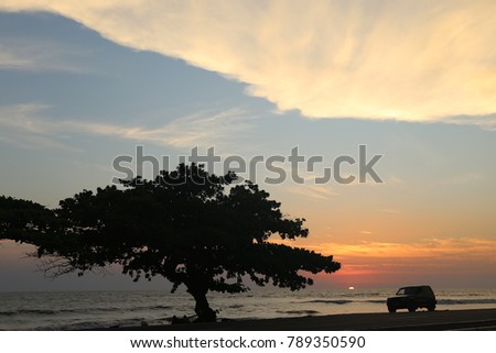 Sunset on a beach with silhouettes of tree, automobile and persons. Calm water and sweet colors compose a nice picture. The picture has been taken in Libreville Gabon on may 2017 at the end of the day