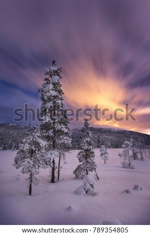 Full moon light over snow covered forest in Heia, Grong area, north Norway.