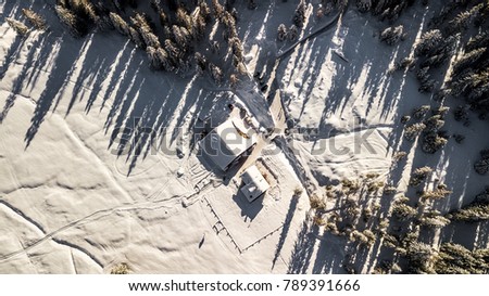 Scenic picture of a cottage and trees covered in snow. Aerial picture in Cortina D'ampezzo, Italy.
