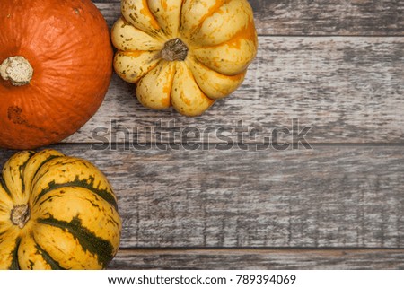 Top view of 3 various squash varieties on a wooden table