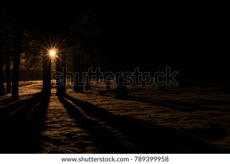 Lantern light passing through a dark forest.