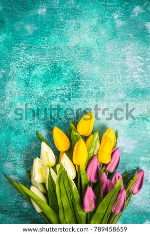 Vibrant tulips on concrete background.Easter or Spring template