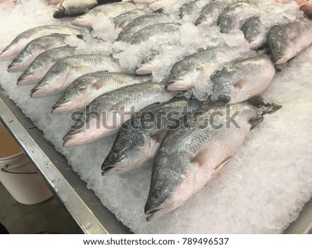 Fish immersed in ice ready for sale