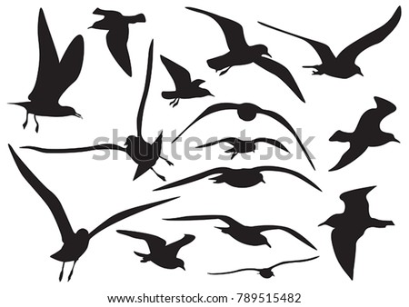 set of sea gull Silhouette, isolated Royalty-Free Stock Photo #789515482