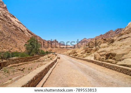 road to the monastery of St. Catherine, against the background of mountains and blue sky, green olive trees, pilgrims and visitors in the background, South Sinai, Egypt	