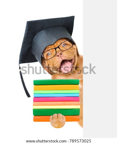 Graduated dog with books peeking  behind empty board. isolated on white background
