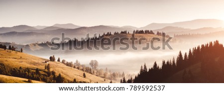 Awesome alpine valley in warm light. Location Carpathian national park, Ukraine, Europe. Picture of a rustic area. Scenic image of farming concept. Adventure vacation. Discover the beauty of earth.