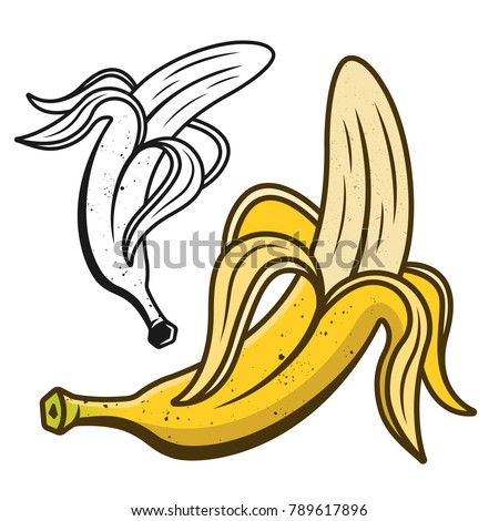 Peeled banana vector illustration two style colored and monochrome isolated on white background