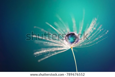 Beautiful water drop on a dandelion flower seed macro in nature. Beautiful deep saturated blue and turquoise background, free space for text. Bright colorful expressive artistic image form. Royalty-Free Stock Photo #789676552