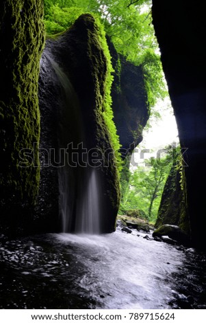 Forest Waterfall Rocks