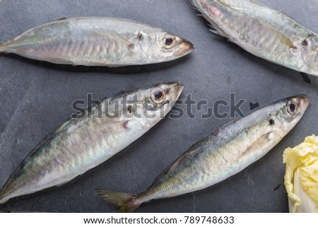 Fresh mackerel fish on rock plate on wooden background
