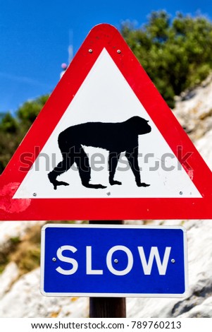Road sign on Gibraltar, UK informing about existence of monkeys and to slow down to avoid accidents.