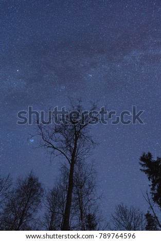Beautiful starry winter night with sillhouettes of trees and frozen lake. Kurtna, Estonia.