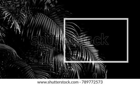 palm leaf pattern in the dark - monochrome