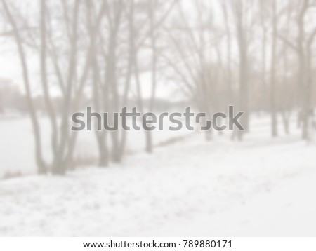 White blur abstract background from nature park with trees and lake in the early spring
