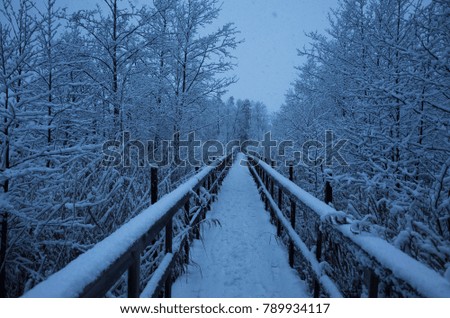 Beautiful nature and landscape photo of blue dusk evening in Katrineholm Sweden Scandinavia. Nice, cold winter at christmas time. Bridge over lake with snow and ice. Calm, peaceful outdoors image.