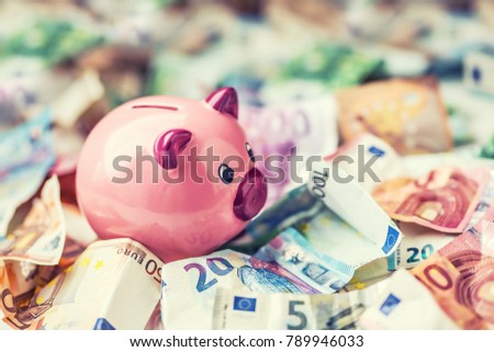 Piggi bank and euro banknotes.