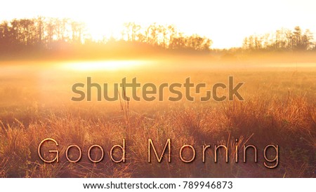 Naturescape Graphic Design of Good Morning Words Typography Lettering on a Grass Field in the Sunrise.