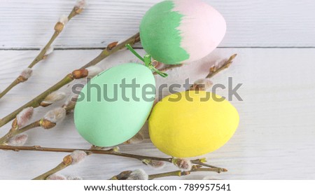 easter paint eggs and beautiful willow twigs on white background