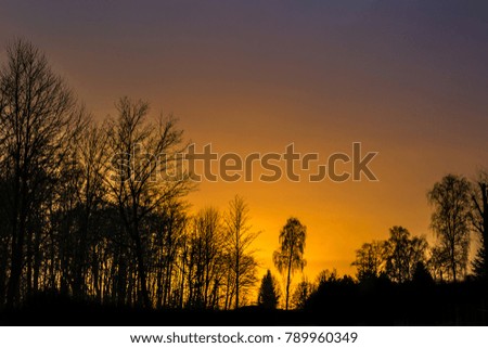 winter golden sunset 