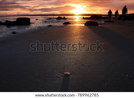 A shell sits on the beach at sunset. Figures walking on beach in background (not recognisable)