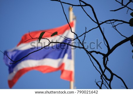 National Thai flag behind the tree branch with blue sky. 