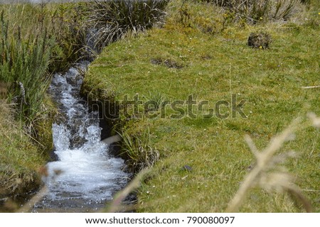 natural strong river flowing in a grass meadow 