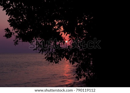 Beautiful maldivian colourful sunset with sea and sky background, foliage silhouette