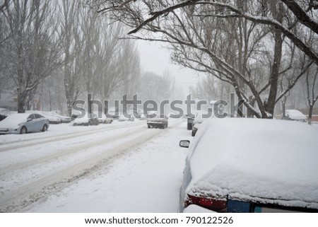 Winter blizzard in the street. 